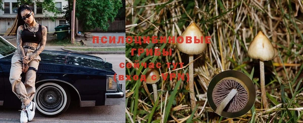 тгк Арсеньев