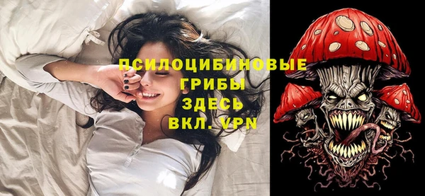 spice Армянск