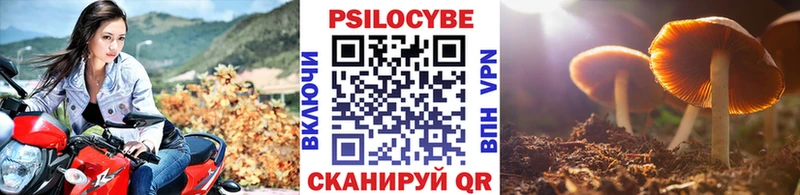 OMG ССЫЛКА  сколько стоит  Магас  Псилоцибиновые грибы мицелий 